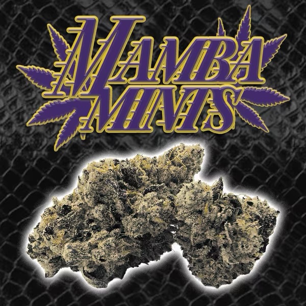 Mamba Mints