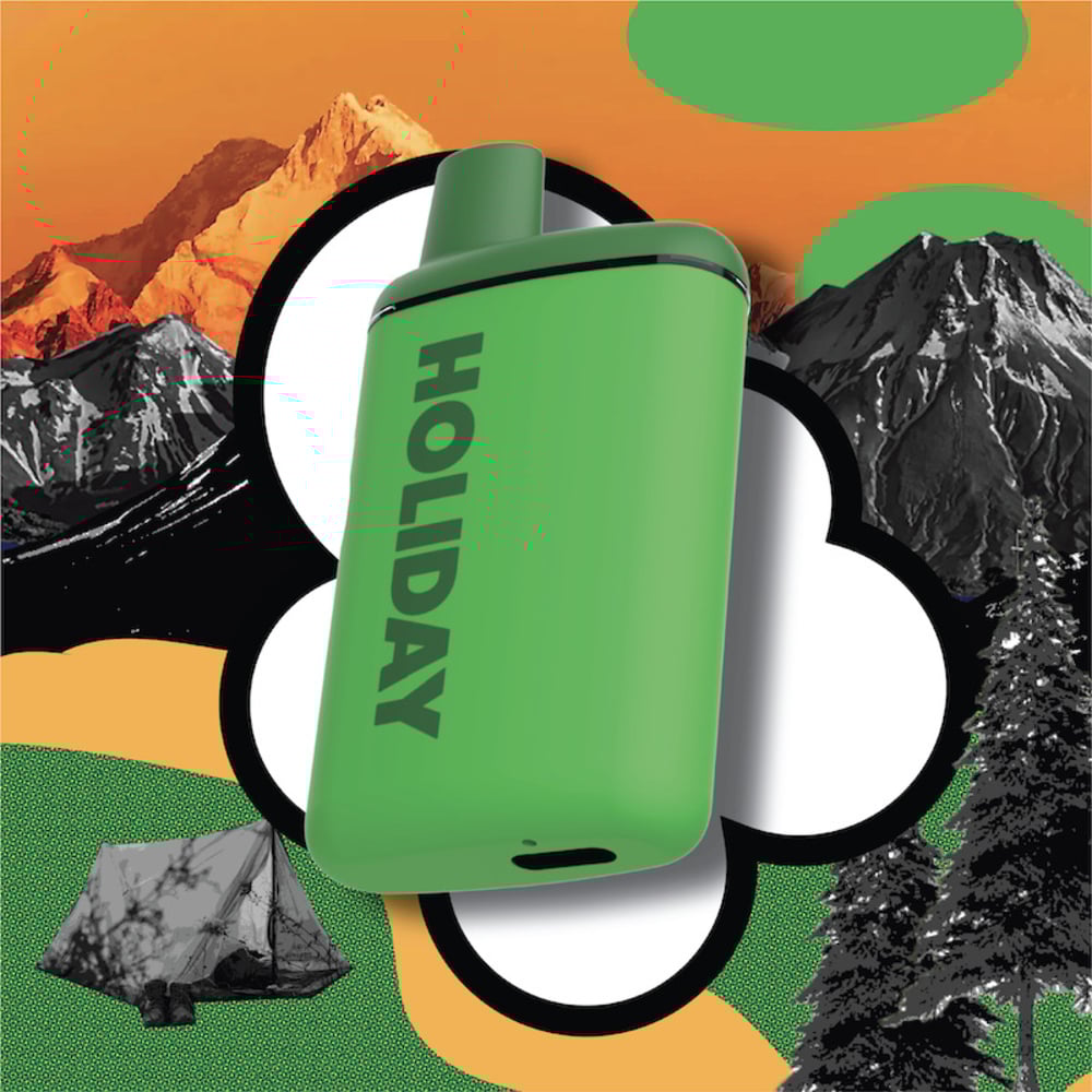 Holiday - Happy Camper Disposable (1g)