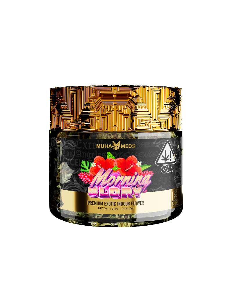 Morning Glory Morning Glory