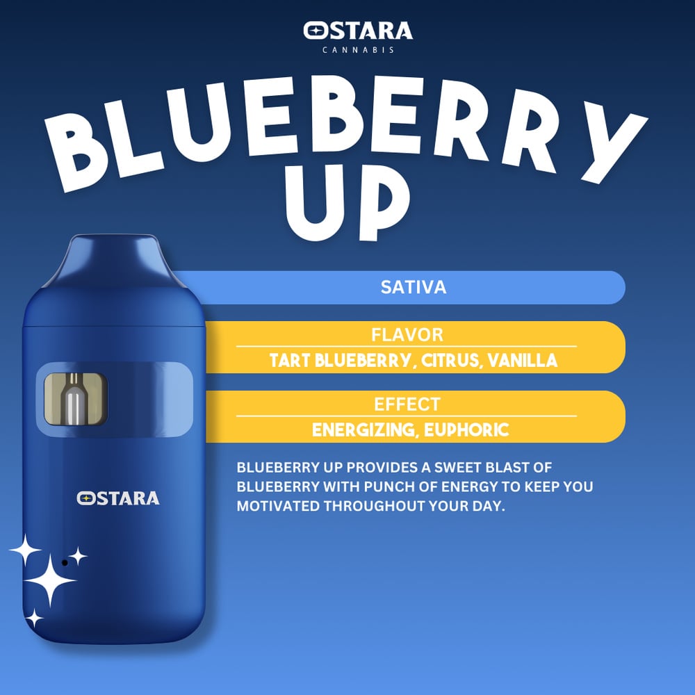 Blueberry UP [1000mg]