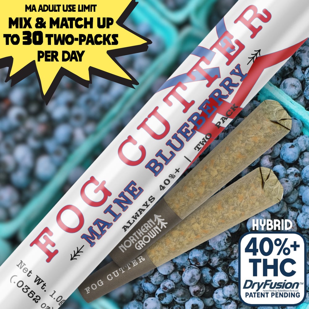 Fog Cutter - Maine Blueberry Infused Hydro Pre-Roll 0.5g 2pk (1g)