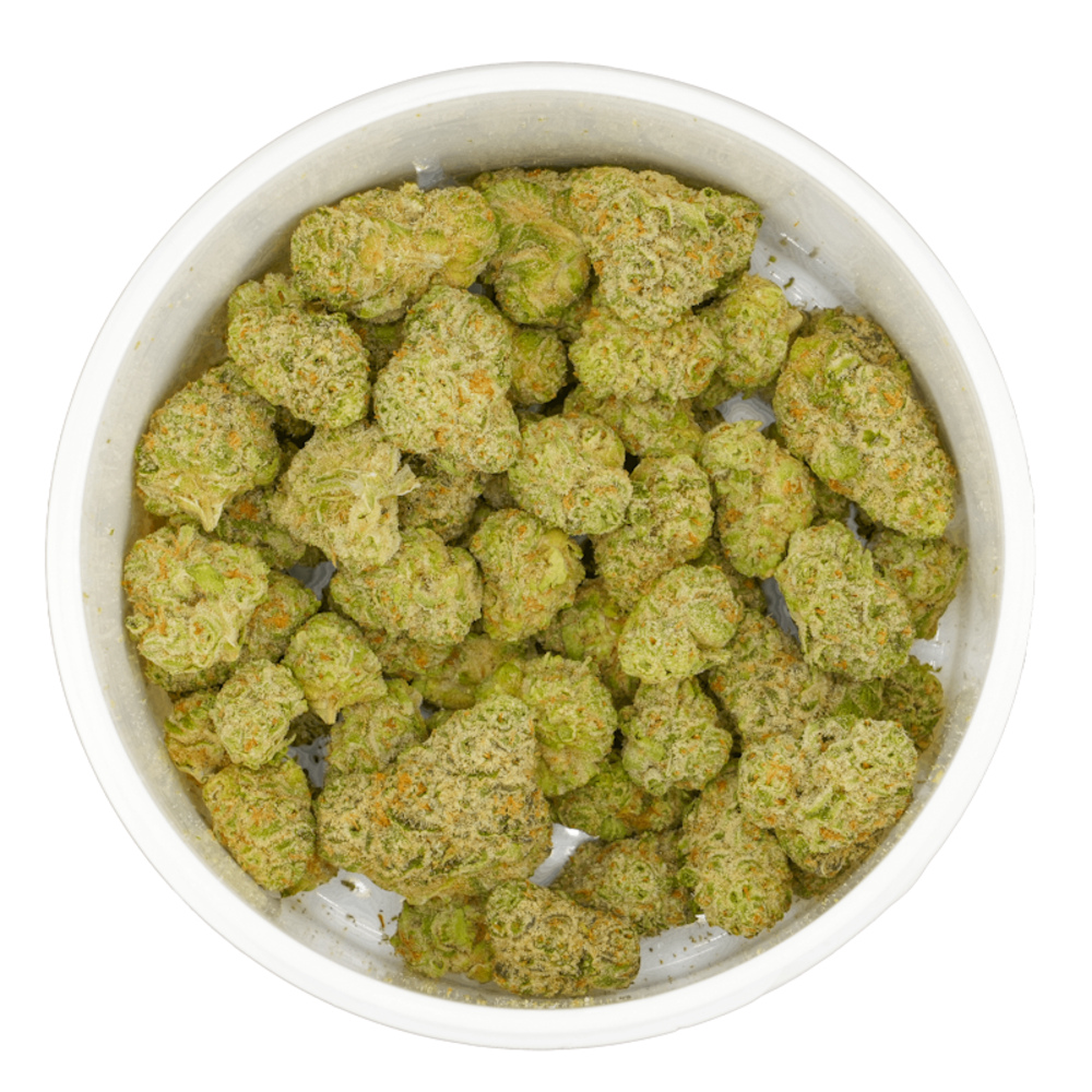 Sunshine Daydream x Z$BF