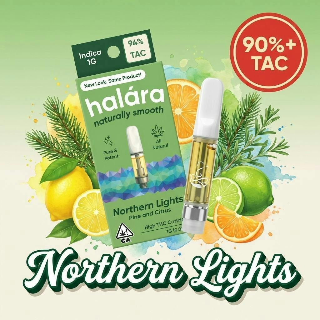 Northern Lights