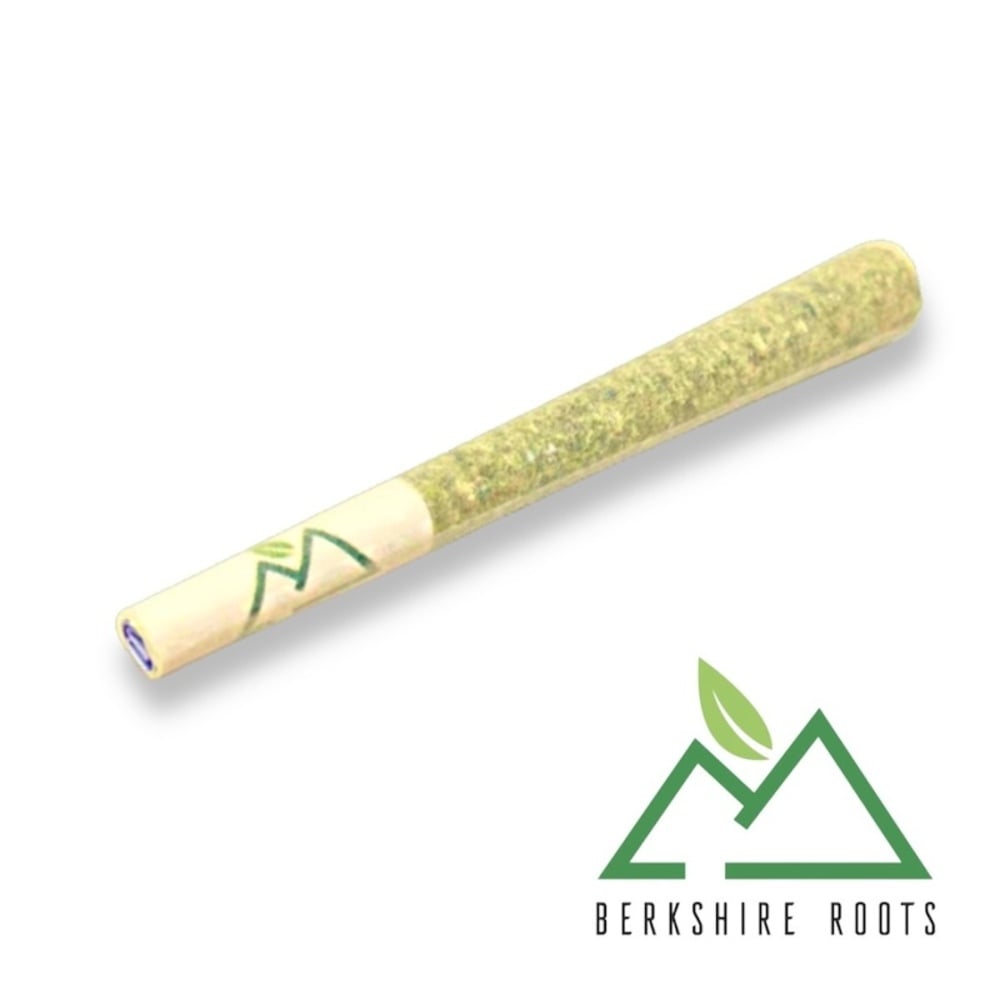Berkshire Roots - Orange Chemeleon Pre-Roll (1g)