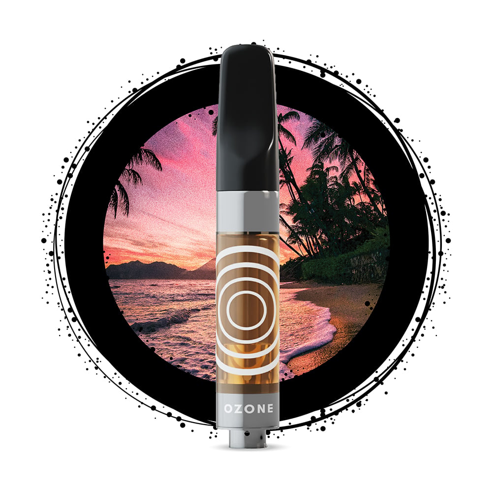 Shop Bahama Mama | Cady Brook Cannabis (Recreational) Dispensary Southbridge, MA Shop Bahama Mama | Cady Brook Cannabis (Recreational) Dispensary Southbridge, MA