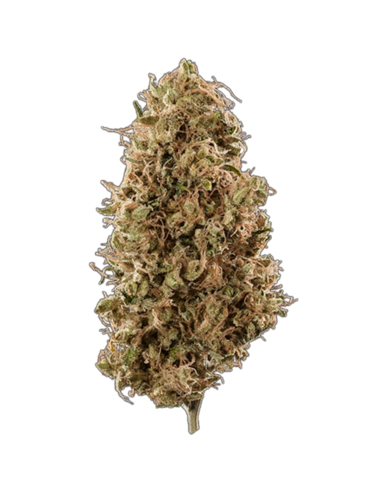 Lemon Haze