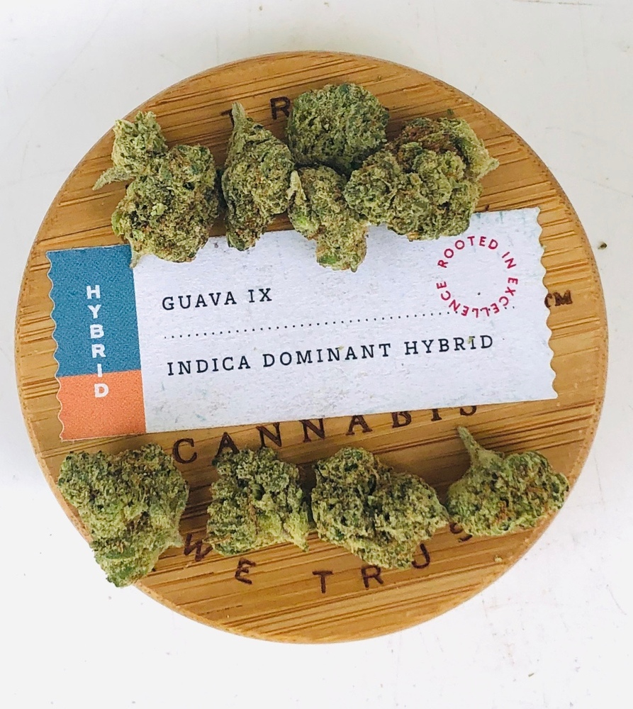 Guava IX