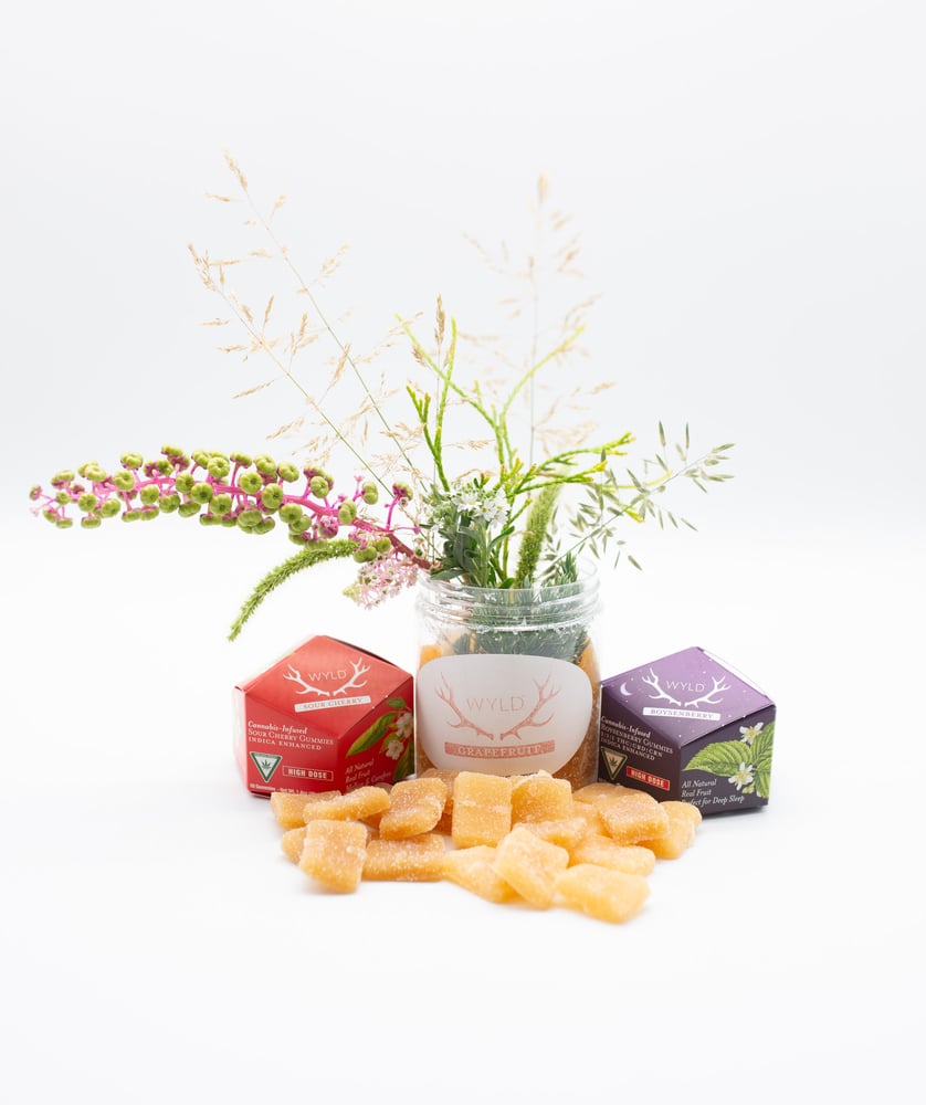 *HIGH DOSE* Boysenberry 2:1:1 CBD:CBN + Indica Enhanced Gummies | 200mg THC | MI