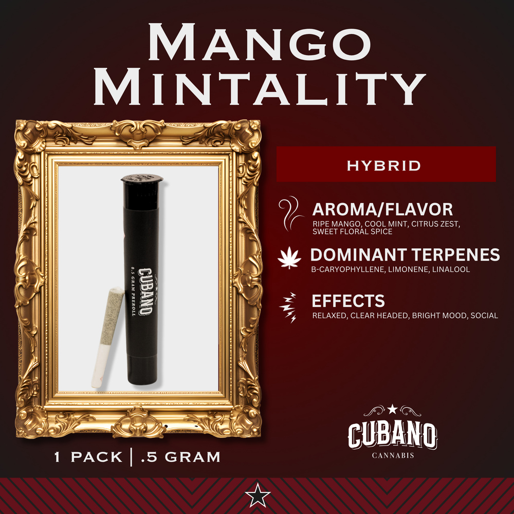 Mango Mintality