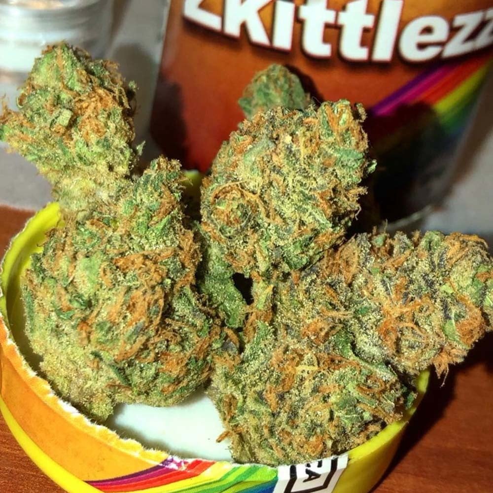 Orange Zkittlez Phat Panda Snicklefritz Jane
