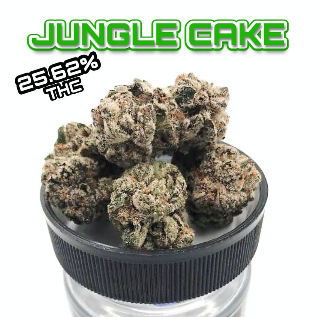 Jungle Cake Krush Kings Jane