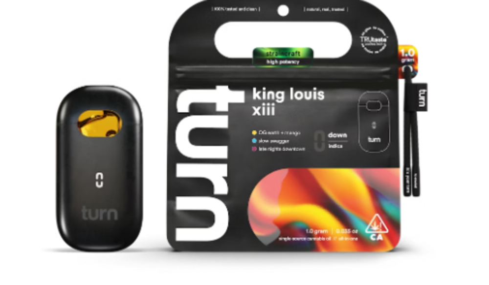 king louis xiii [1g]